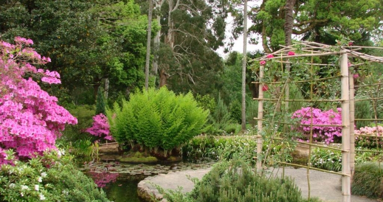 Georgia’s top romantic places geotv.ge